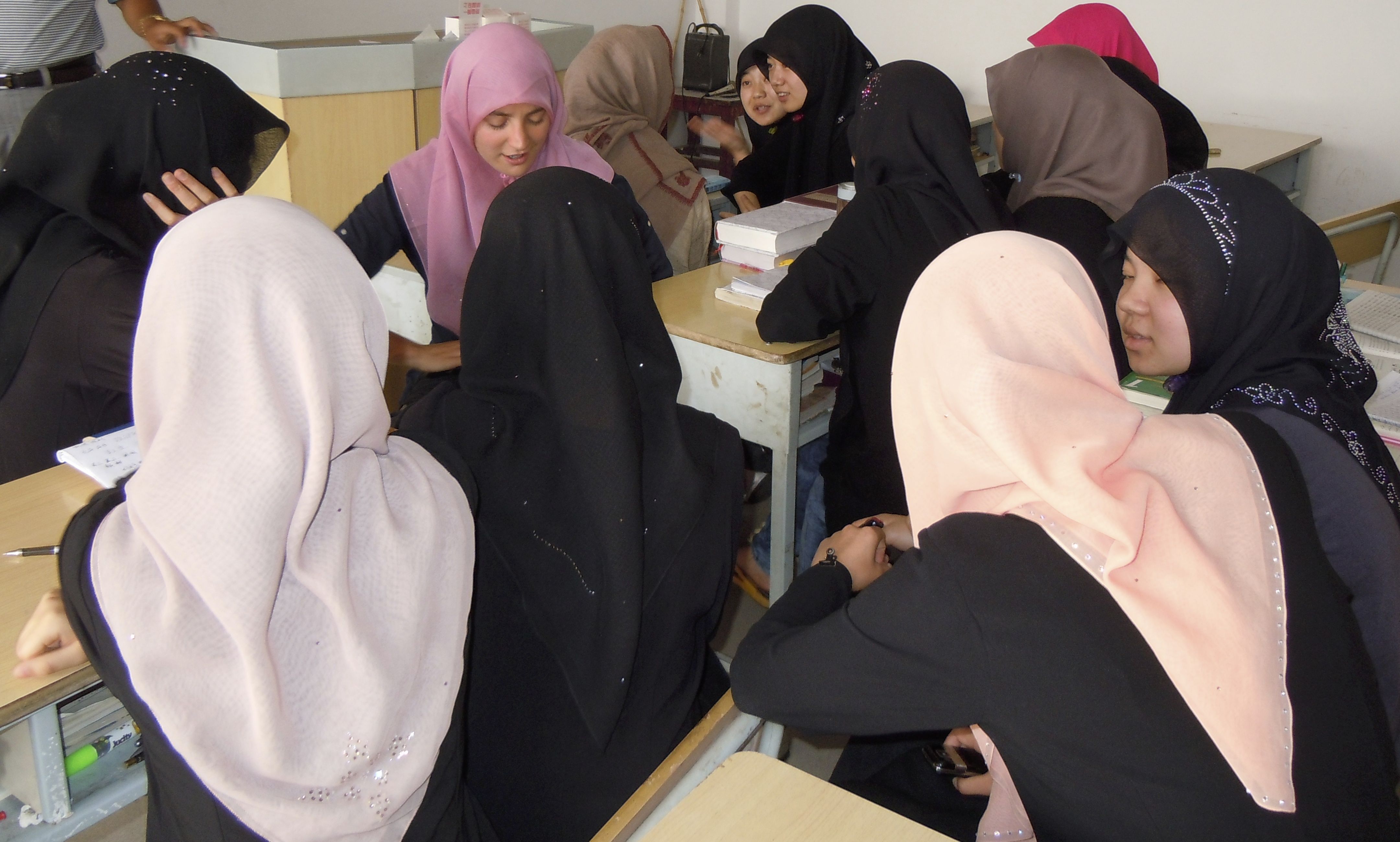 2013 Bestor Prize: Lesley R. Turnbull, Cornell University