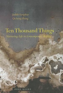 Ten Thousand Things (Book Cover)