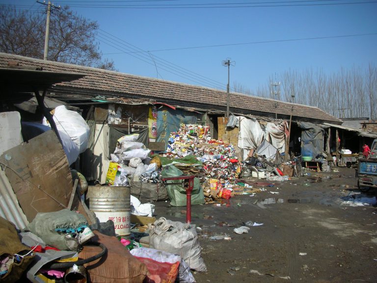 Waste Pickers in a Chinese Megacity: The Invisible Waste Reduction Group