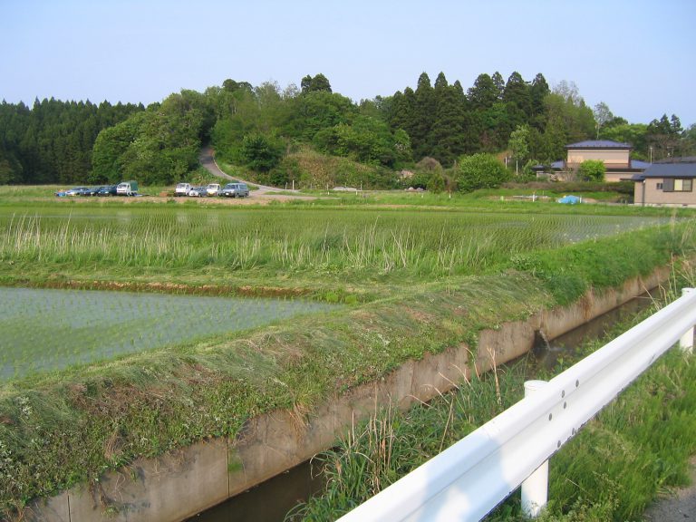 Gratuitous Ancestor Worship—of (and for) Robert J. Smith