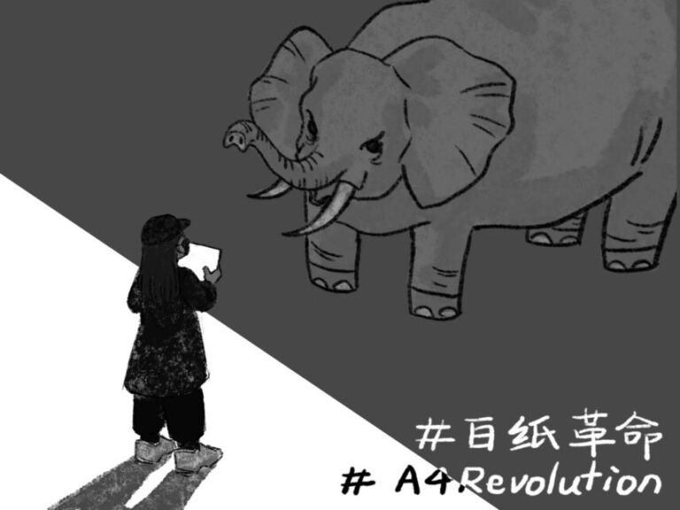 What Can White Paper Do?